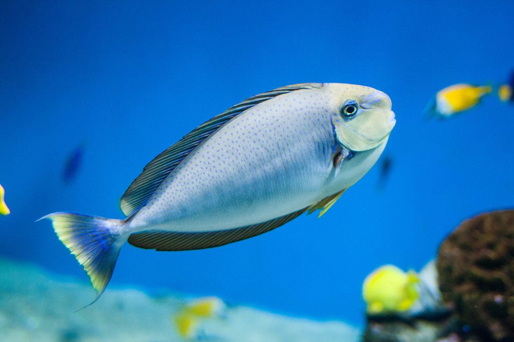 Photograph by Анастасия Кобелева