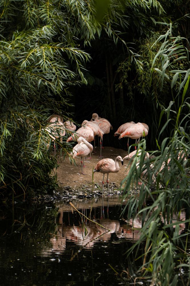 Photograph by Irene Pravdiuk