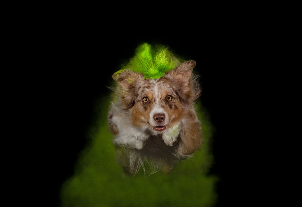 Photograph by Noa Táboas