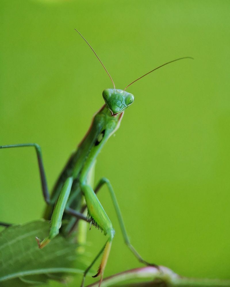 Photograph by Наталья Балабанова