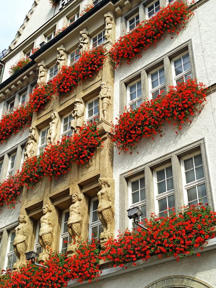 Photograph by Kateryna Schuliak