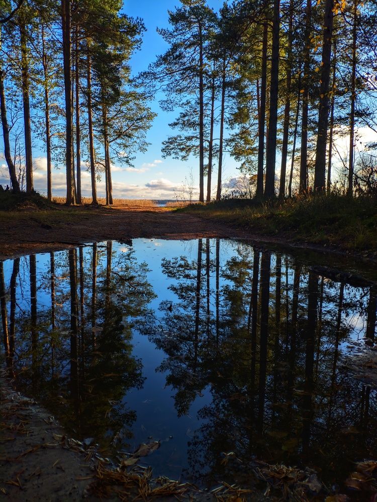 Photograph by Лев Кауфман