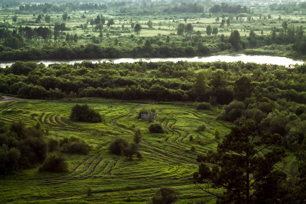 Фотография автора Наталья Соболь