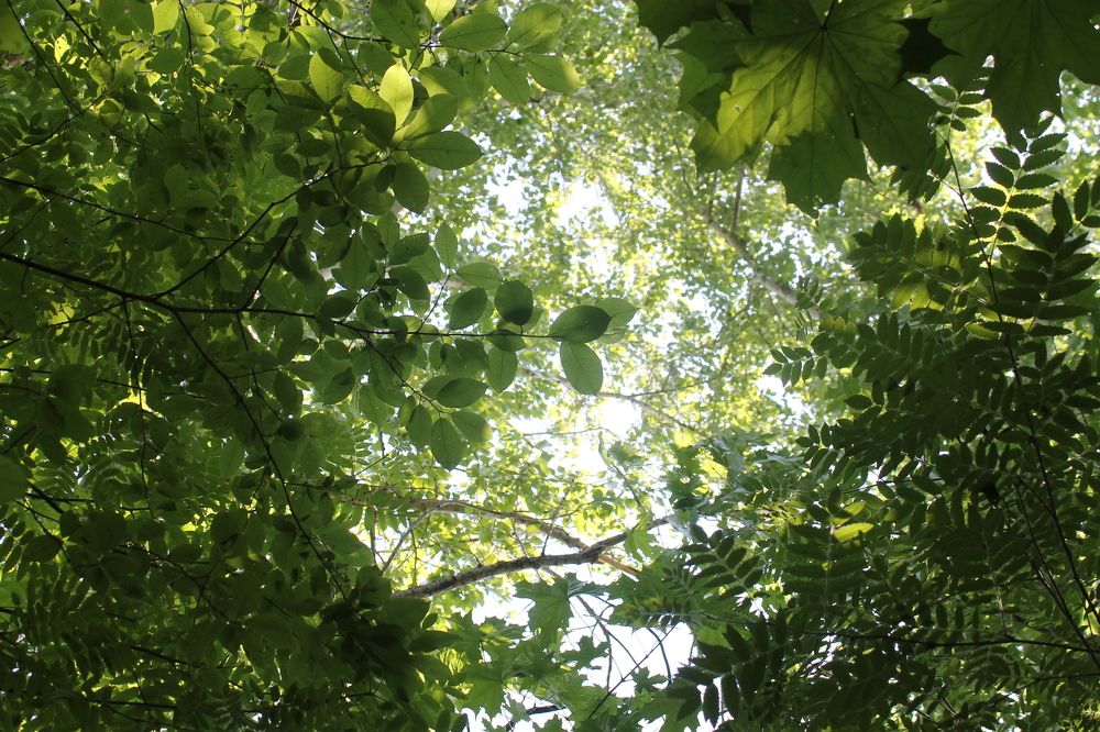 Photograph by Екатерина Хозяшева