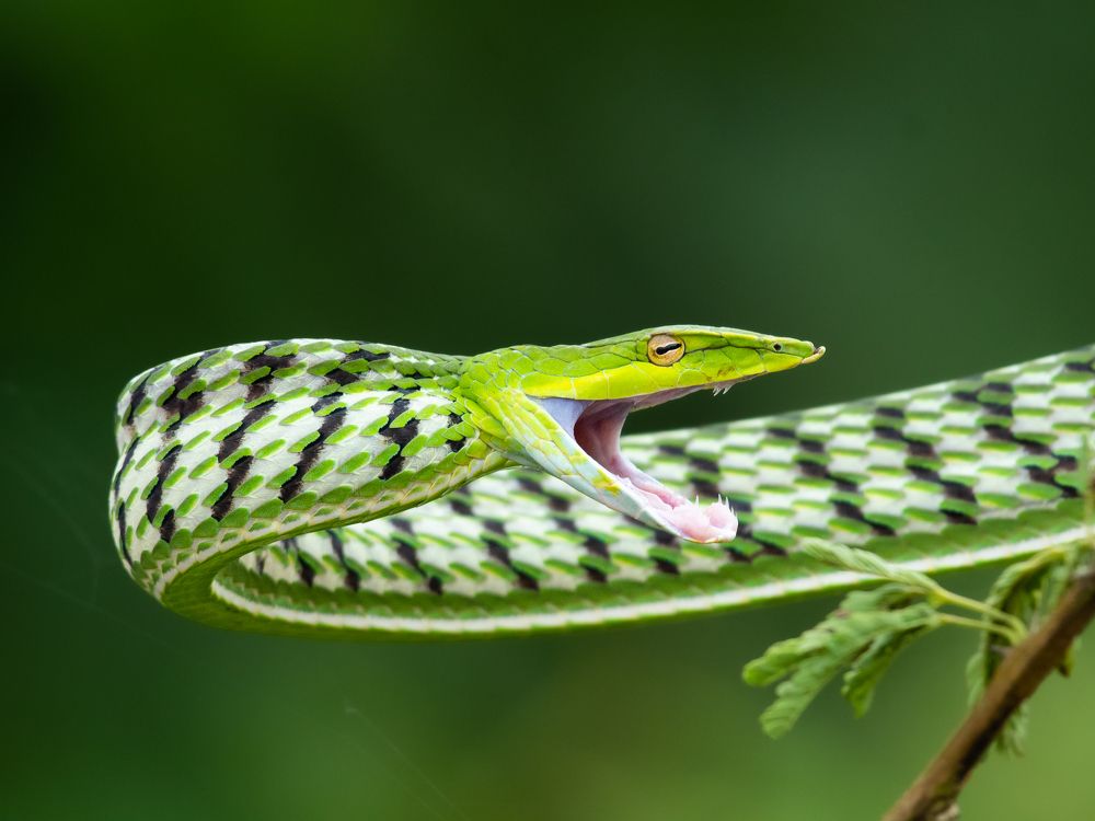 Photograph by Anandhu M