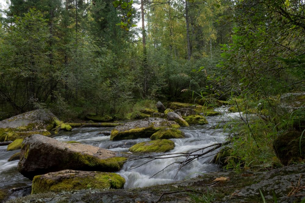 Фотография автора Наталья Соболь