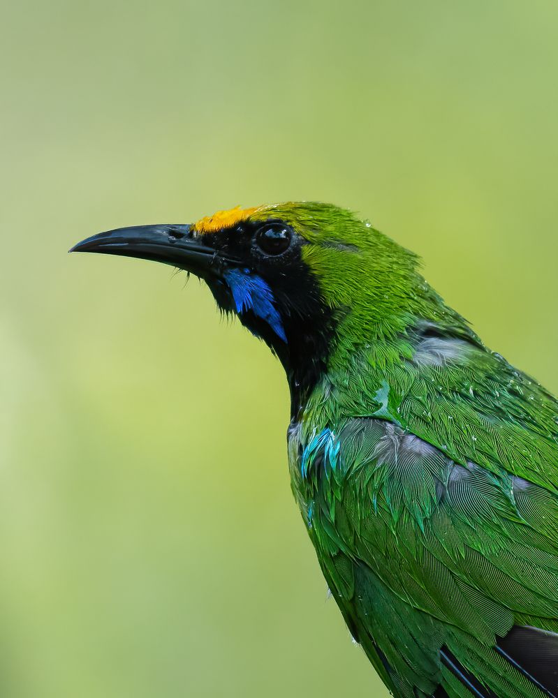 Фотография автора Anandhu M