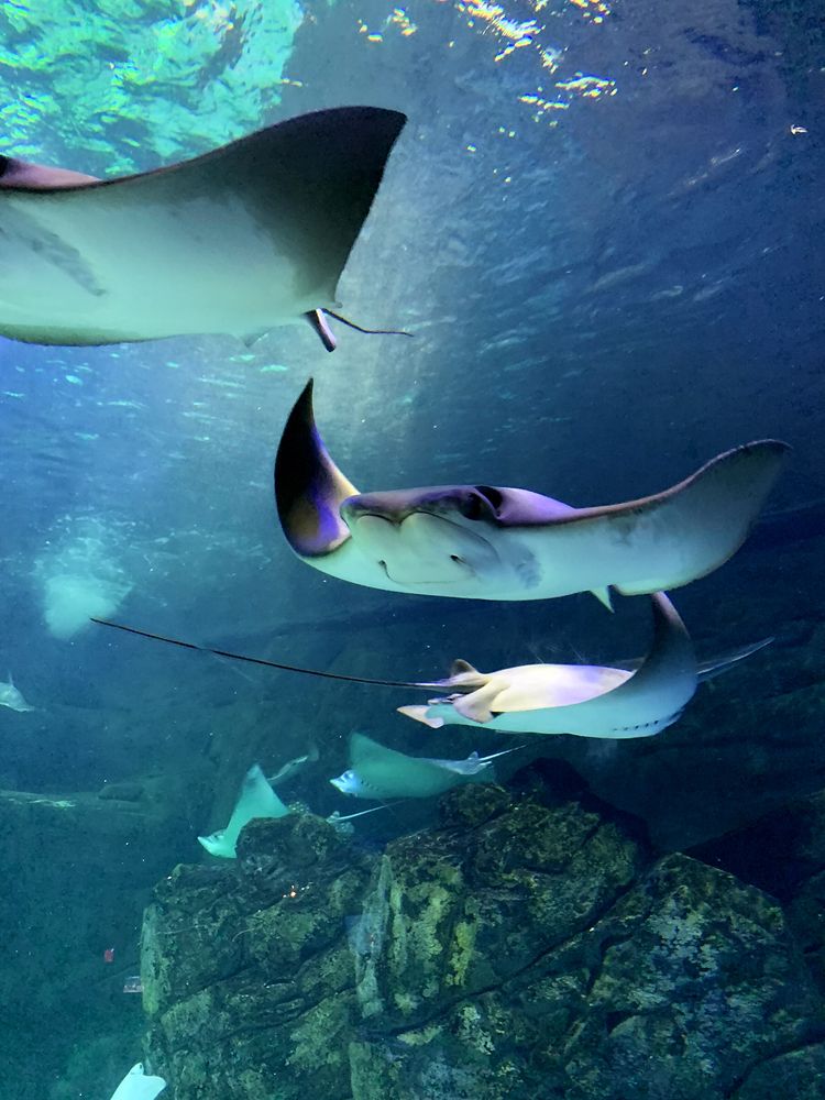 Photograph by Liliana Grup