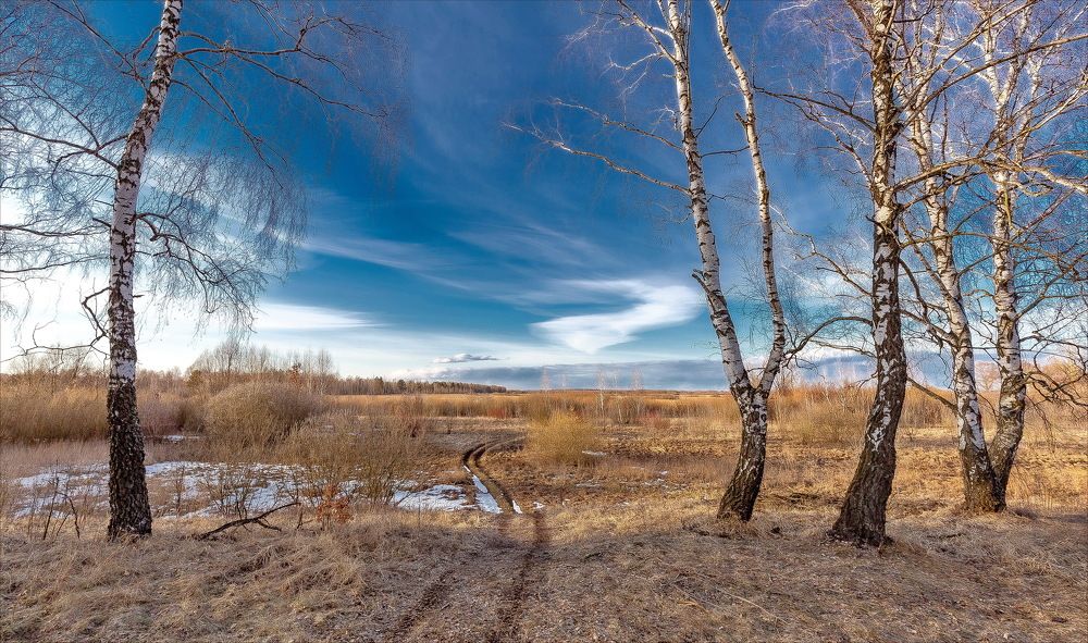 В этой бездонной лазури...