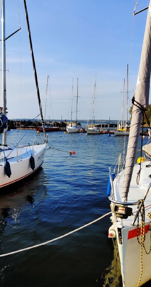 Photograph by Ольга Минакова