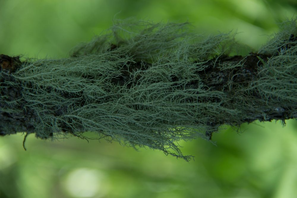 Photograph by Ольга Минакова