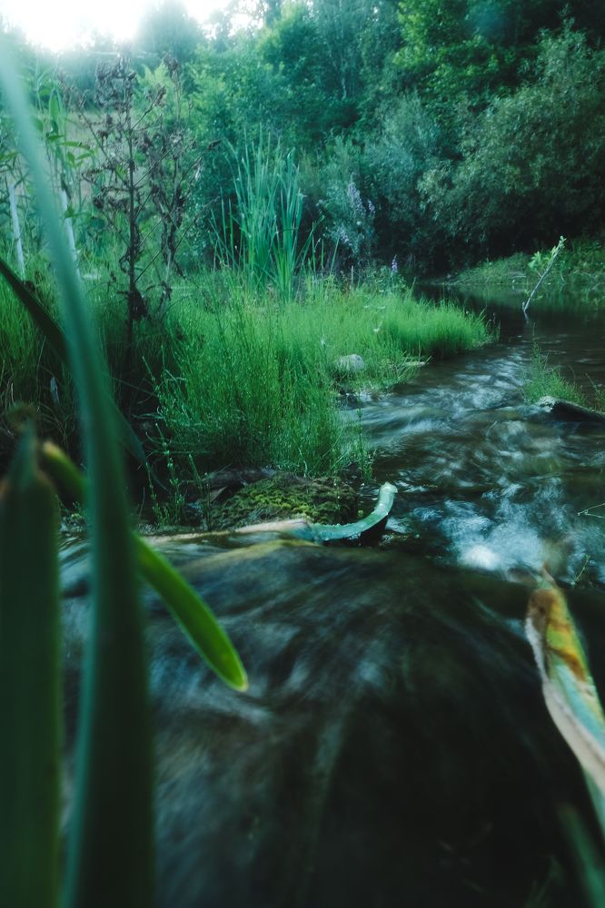 Photograph by Дмитрий Пропадалин