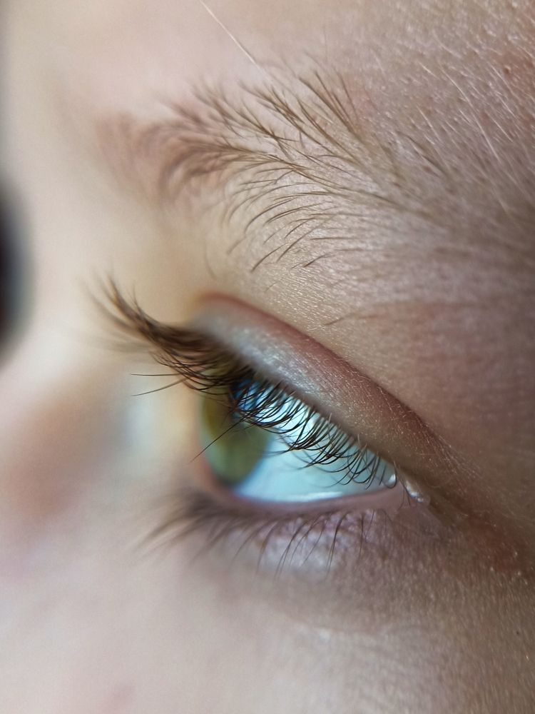 Фотография автора Татьяна Шахова