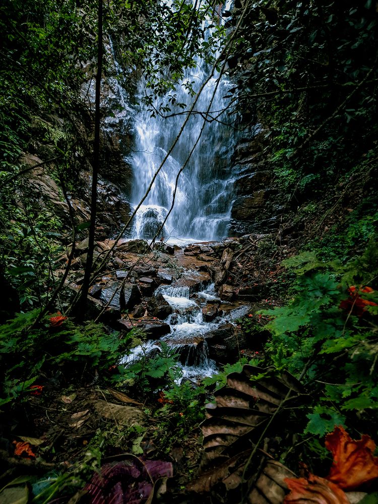 Photograph by Kalpa Aponsu