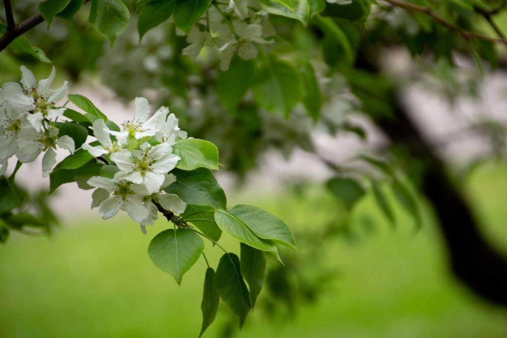 Photograph by Елена