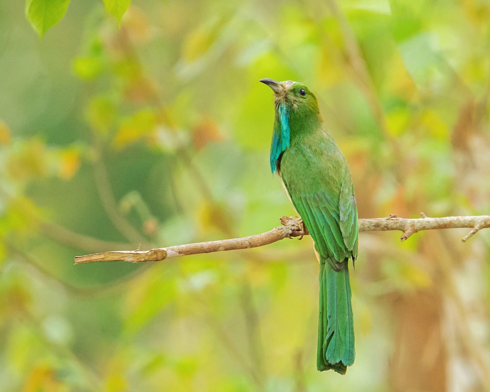 Photograph by Pinak Paul