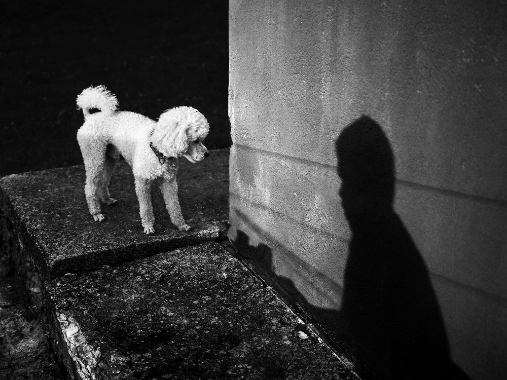 Photograph by Dorota Hnatová