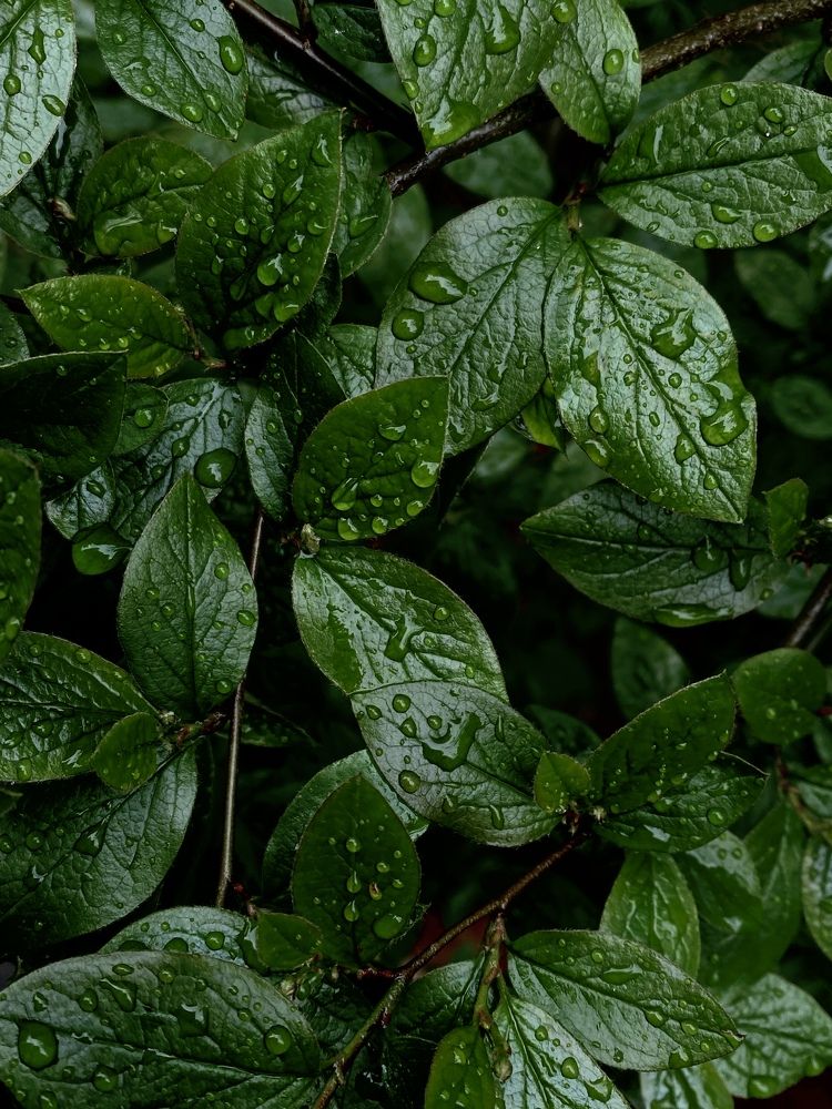 Photograph by Анна Зернова