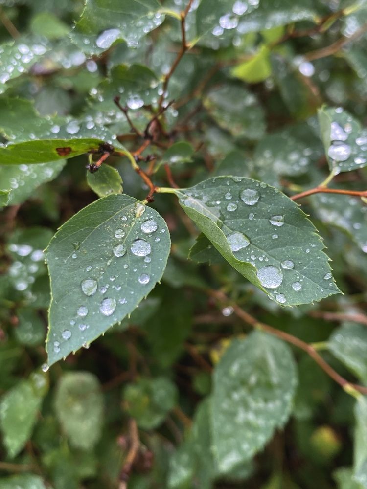 Photograph by Анна Зернова