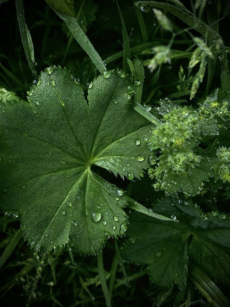 Photograph by Анна Зернова