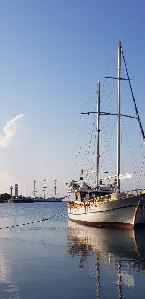 Фотография автора Ольга Мусина