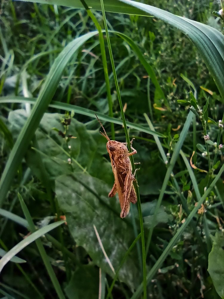 Photograph by Ирина Дегтярева