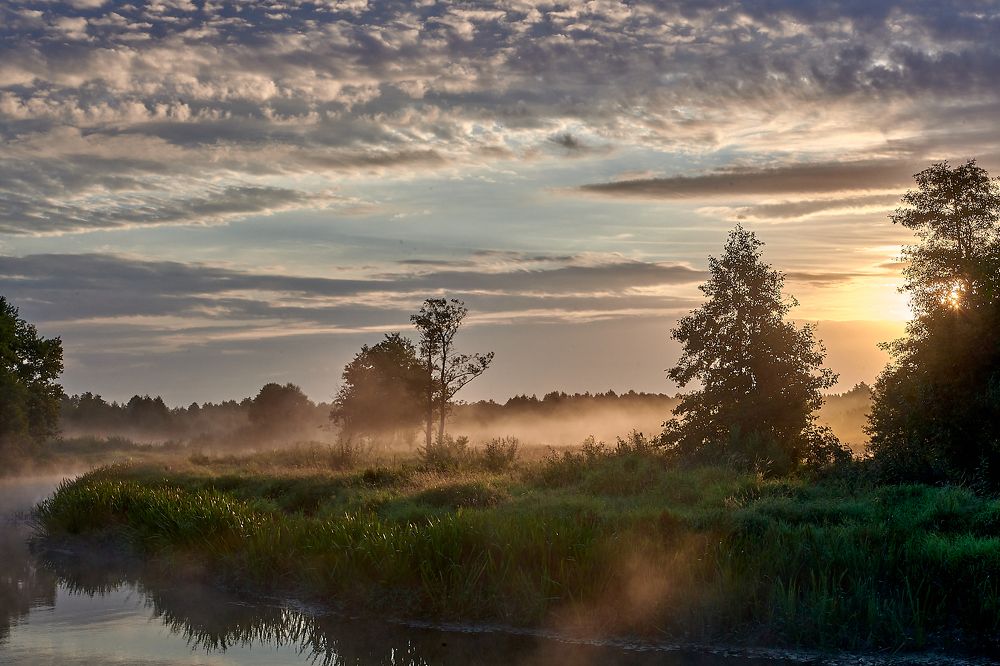 Photograph by Шелепнёва Лина