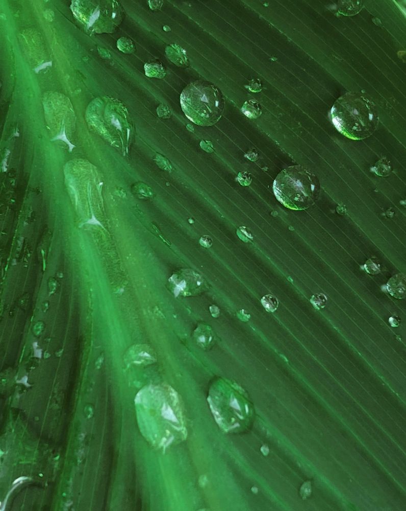 Photograph by Ольга Скиба