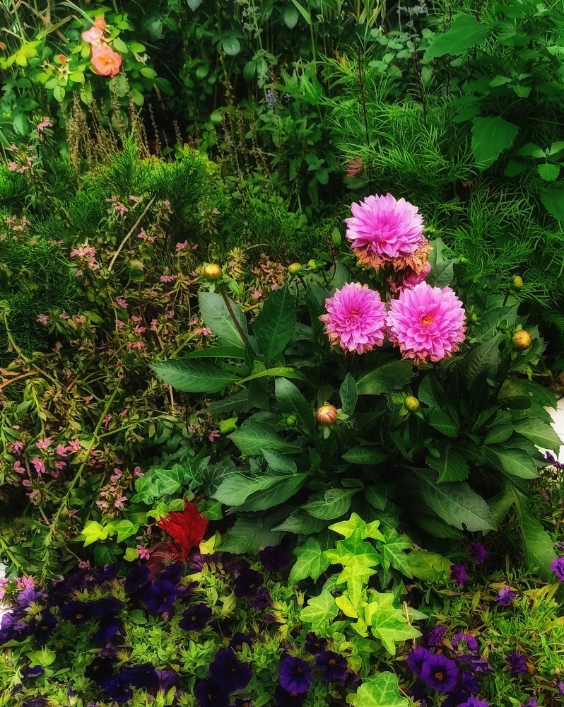 Photograph by Светлана Барабанова