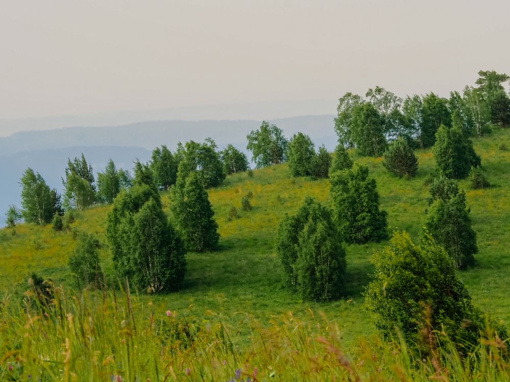 Photograph by Alexandra German