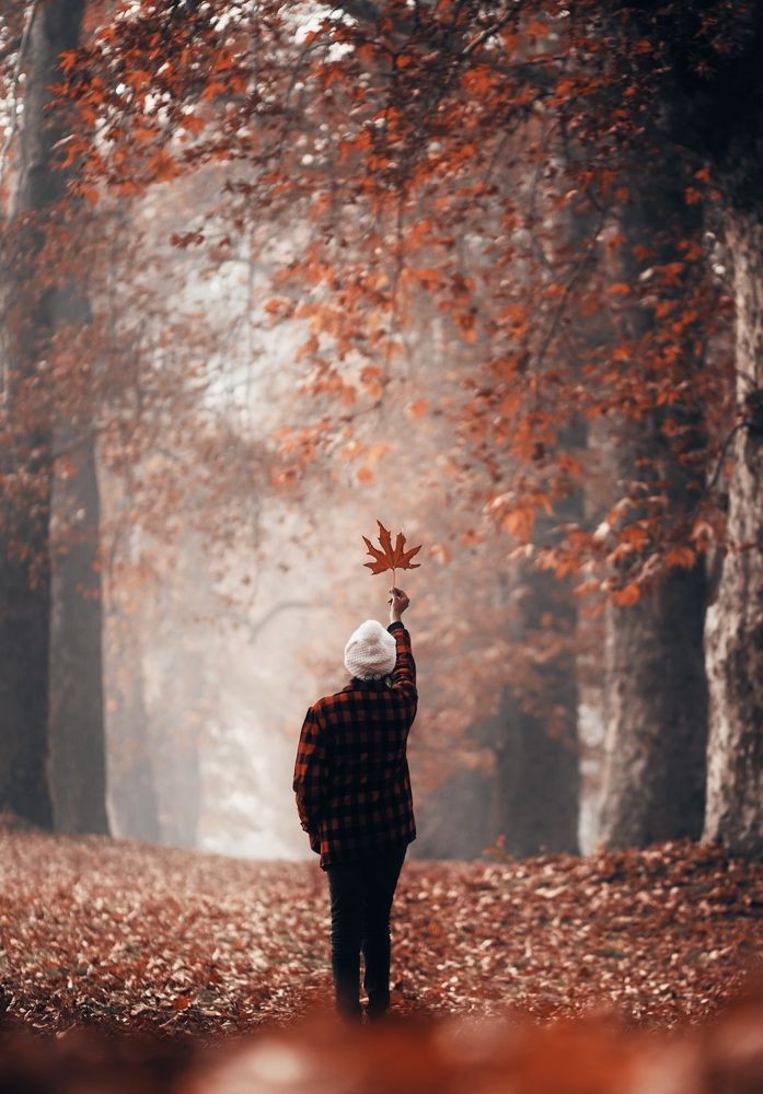 Photograph by Anvar sadath TA Anvar