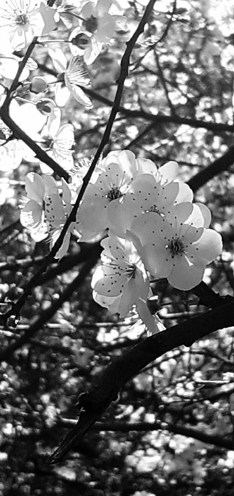 Photograph by Евгения Ульянова