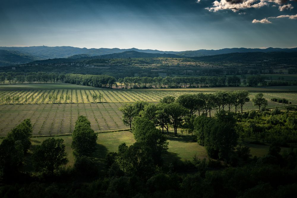 Photograph by Alen Hasic