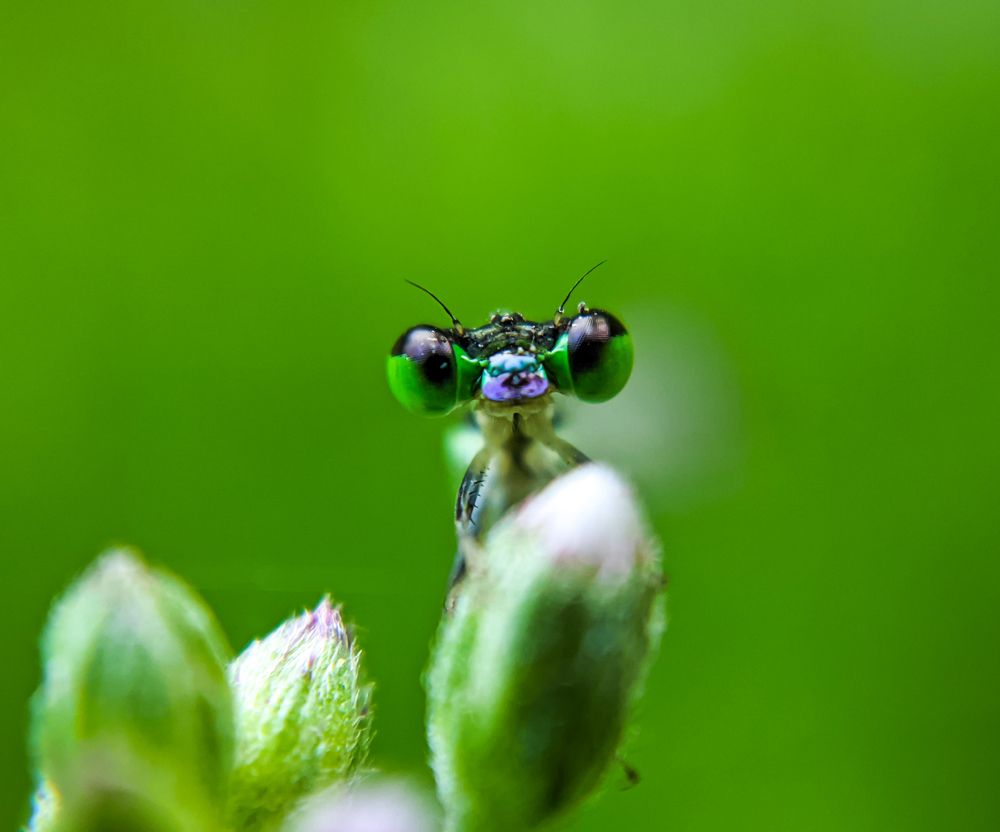 Photograph by Ajeesh A