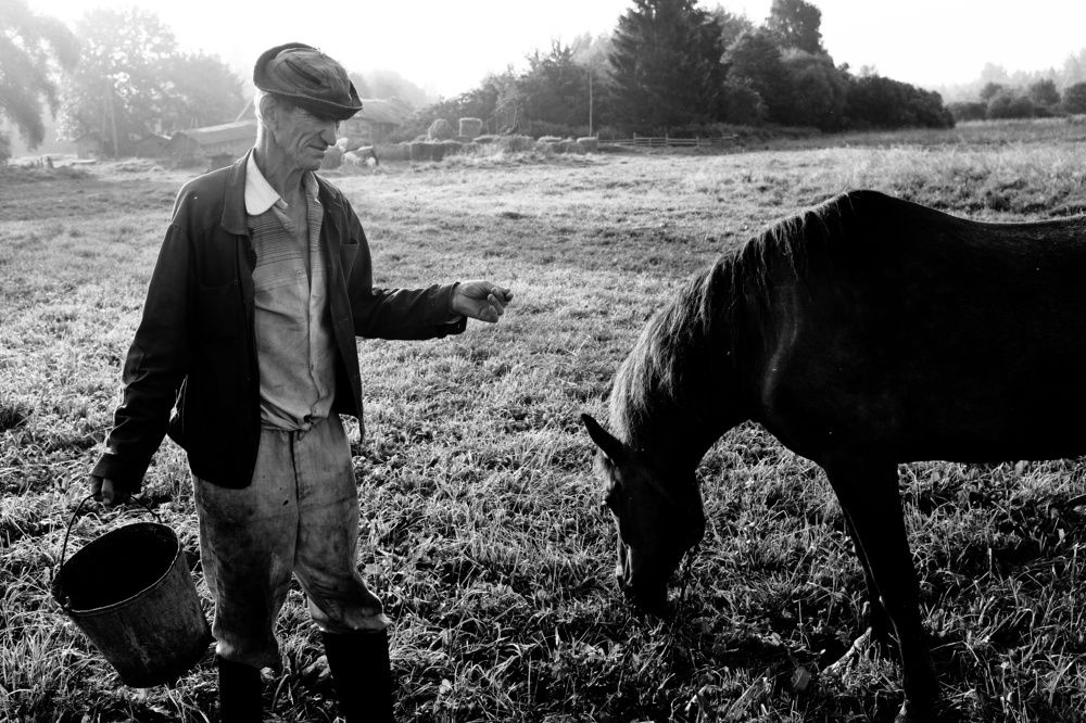 Photograph by Андрей Царев