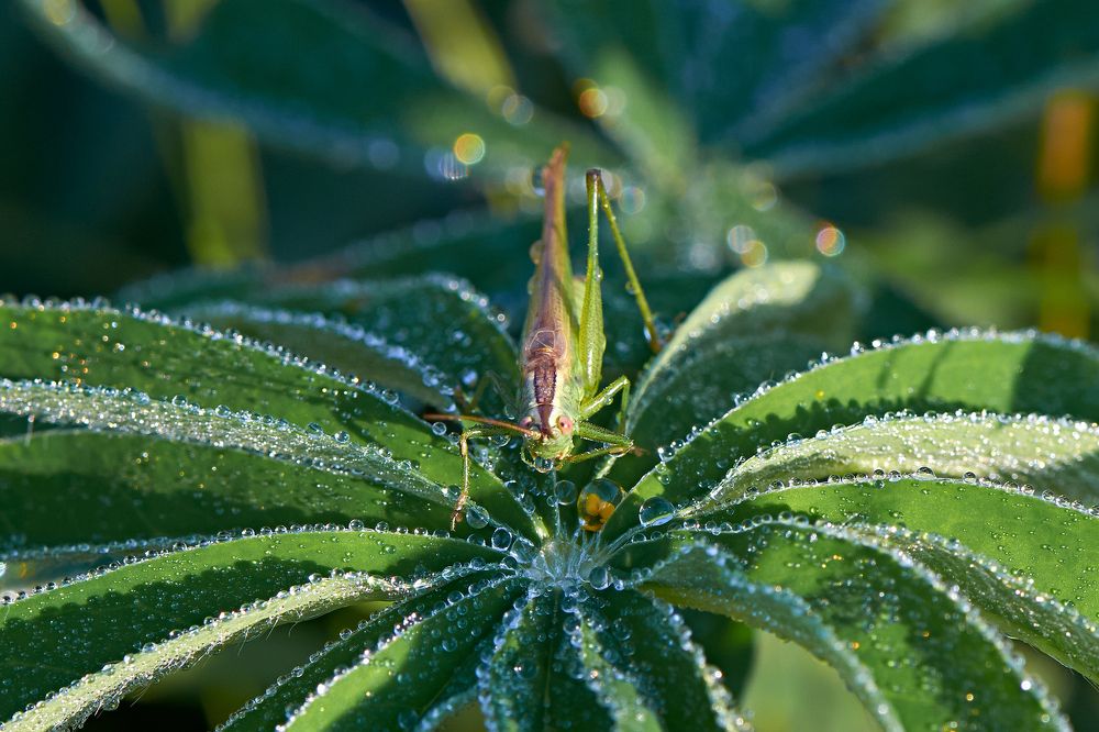 Photograph by Валерий