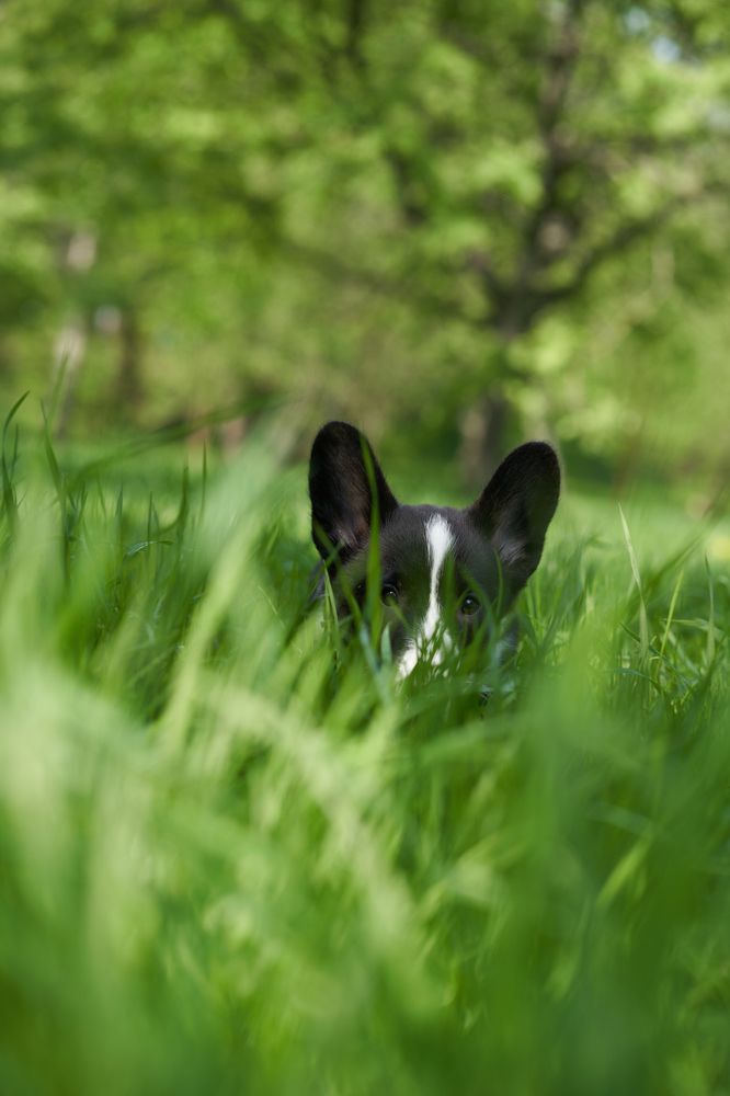 Photograph by Евгения Сигутина