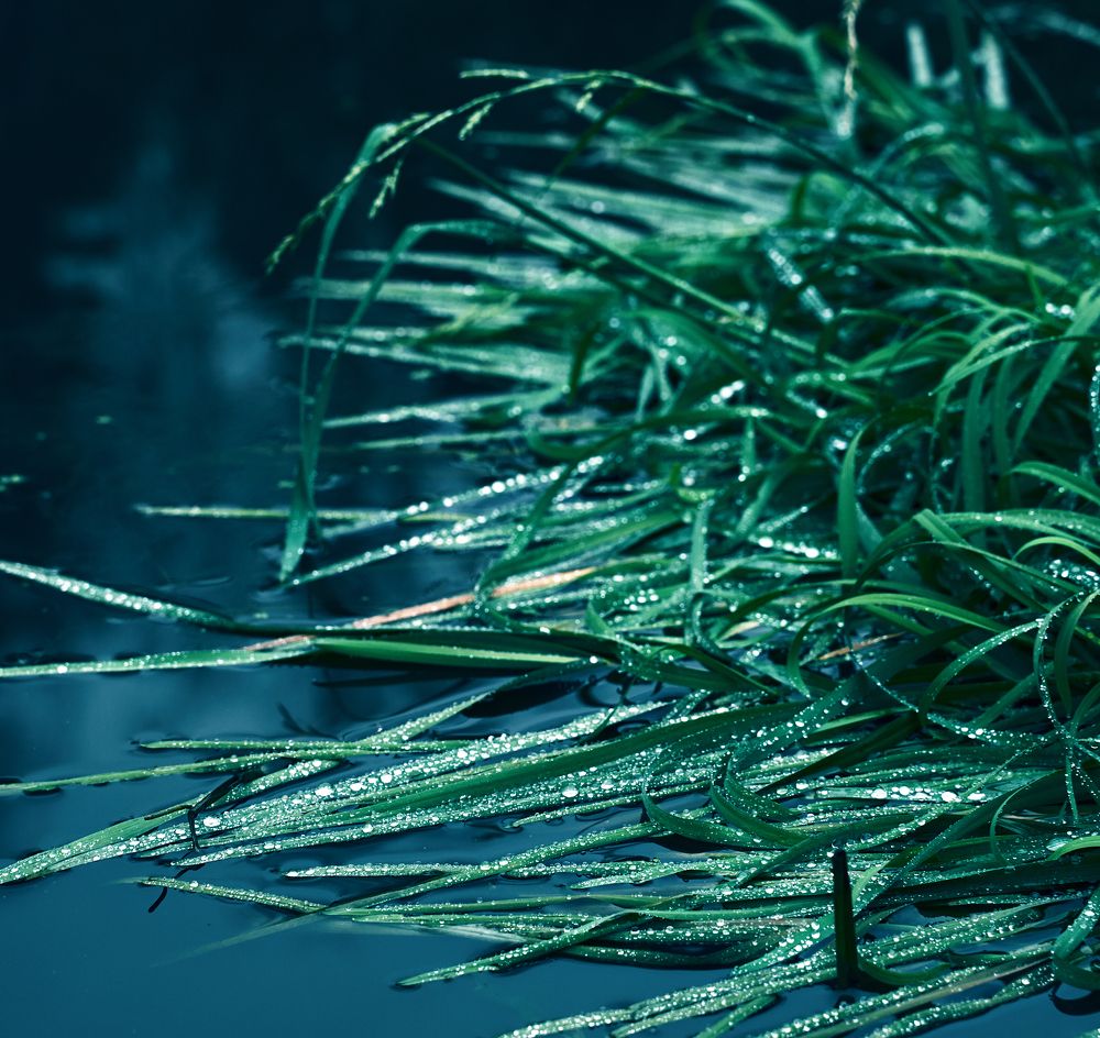 Photograph by Евгения Сигутина