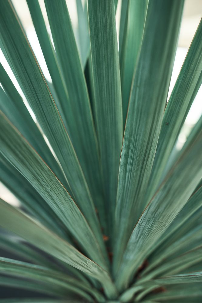 Photograph by Евгения Сигутина