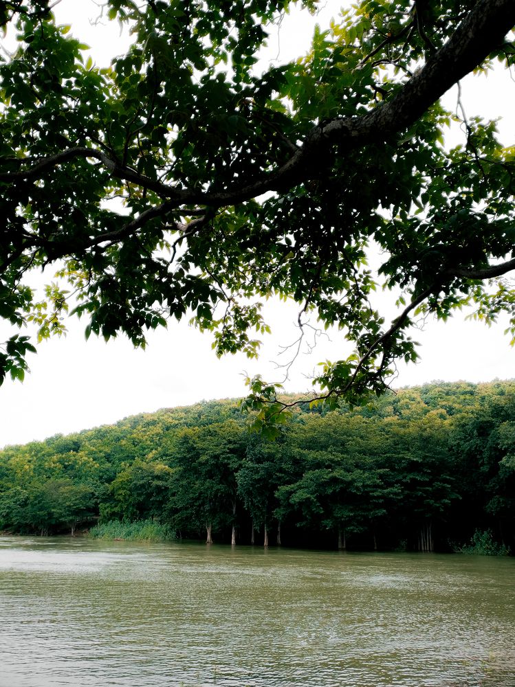 Photograph by ANKIT Sagar