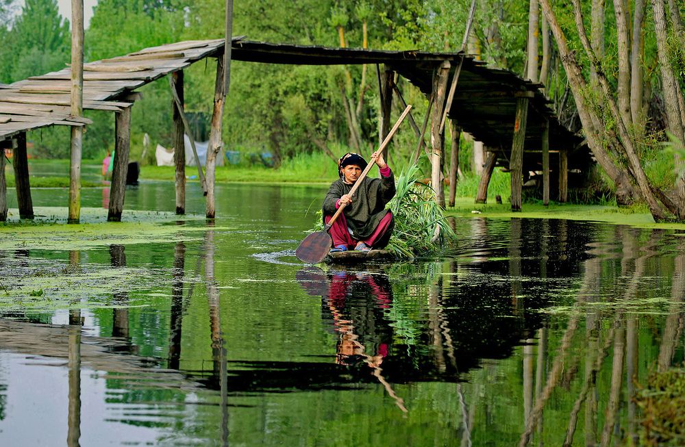 Photograph by Shibram Nag