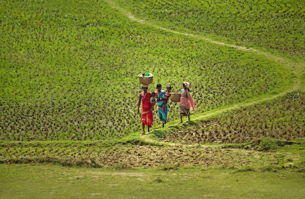 Photograph by Shibram Nag