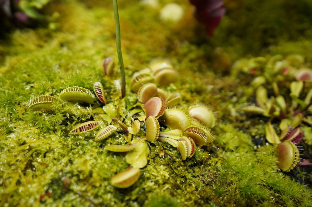 Photograph by Арина Стрябчева