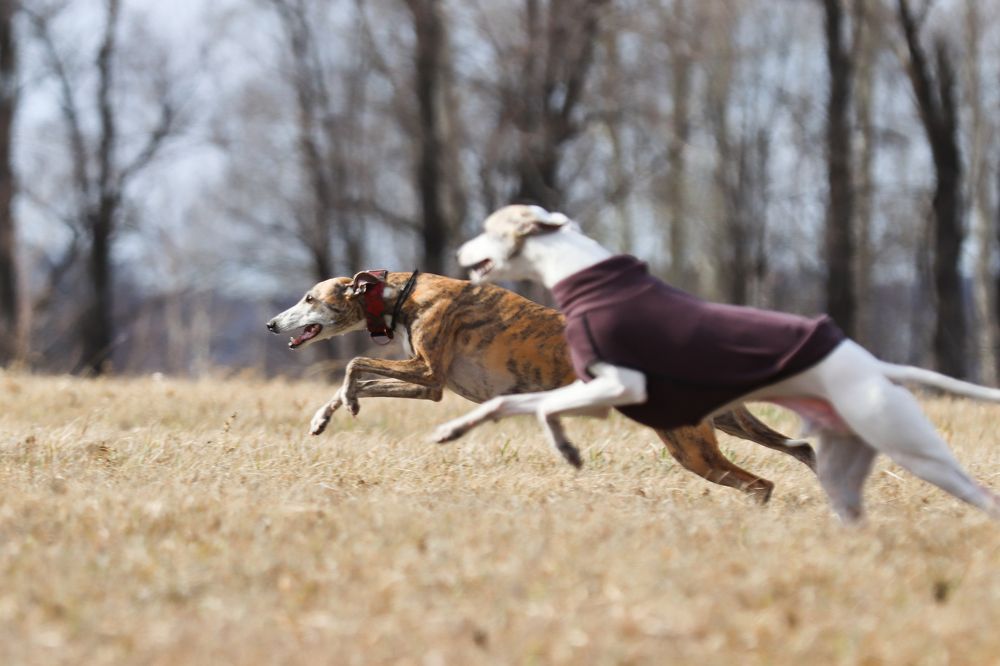 Photograph by Анна Вербилова