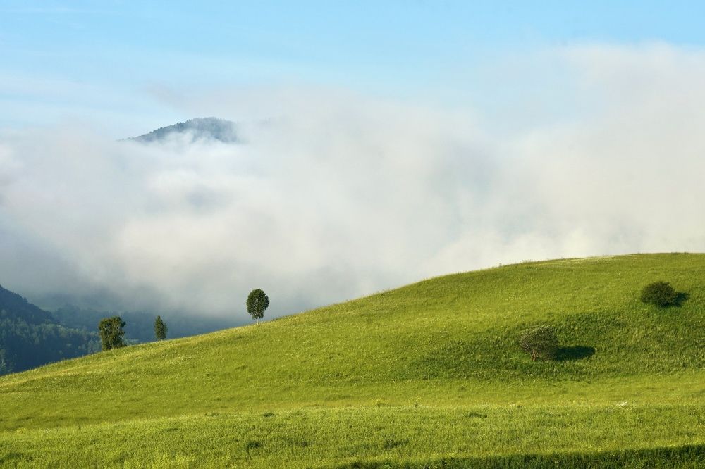 Photograph by Андрей Кузнецов