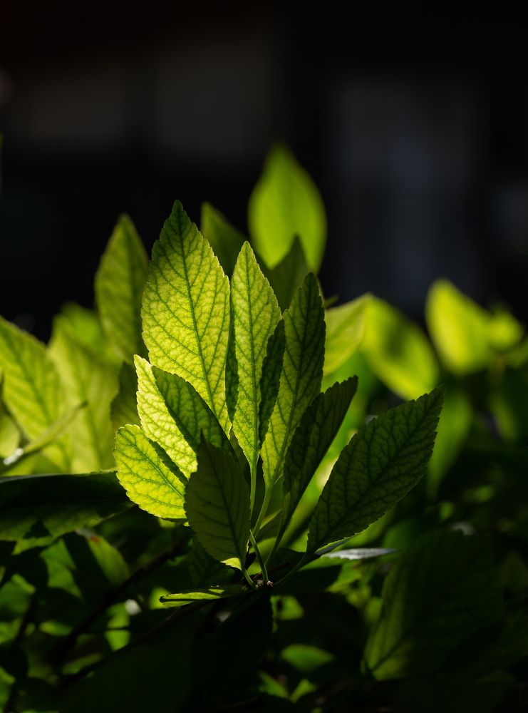 Photograph by Марина Новожилова