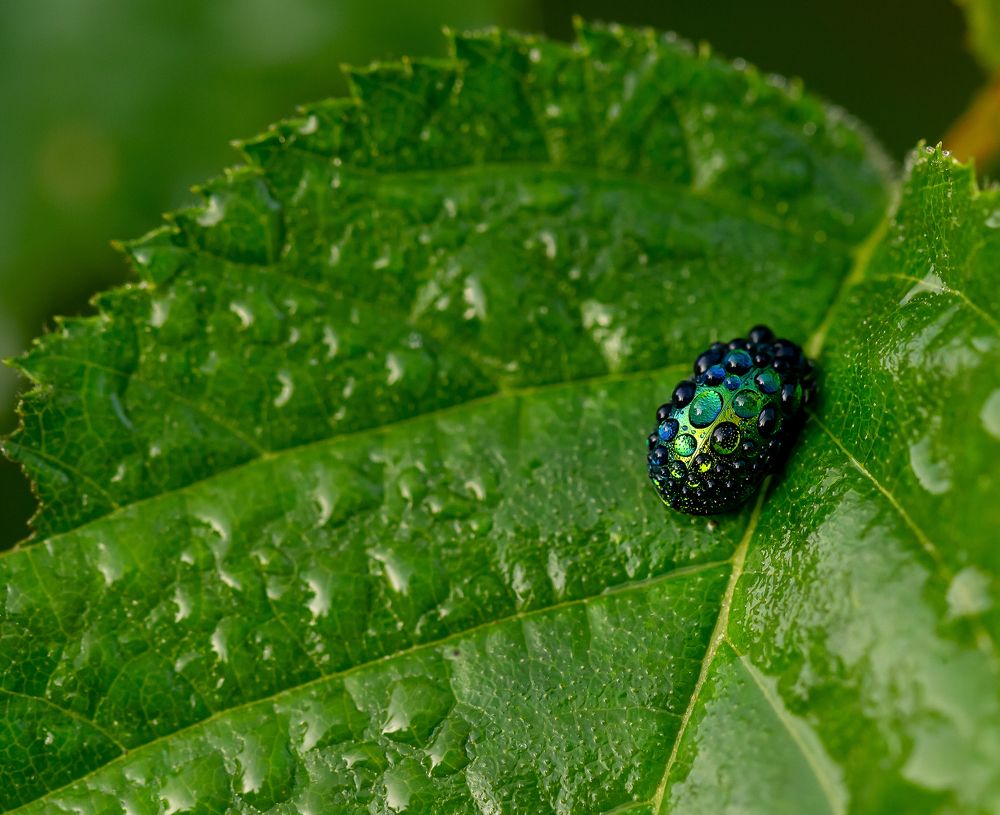 Photograph by Марина Новожилова