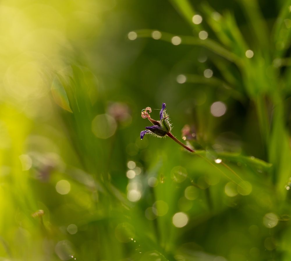 Photograph by Марина Новожилова