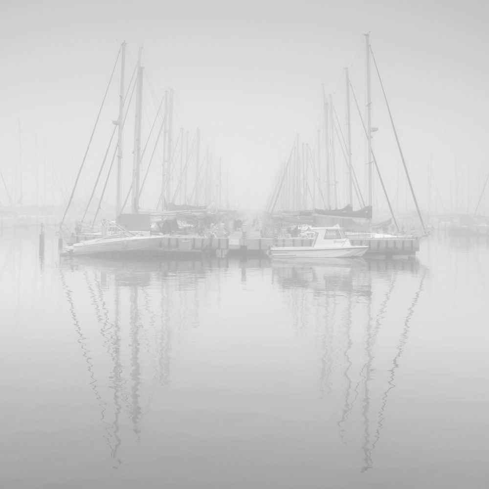 the fog came from the sea