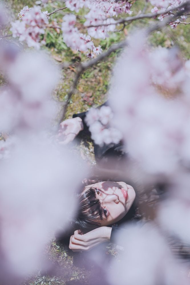 Photograph by Sonokawa Jun